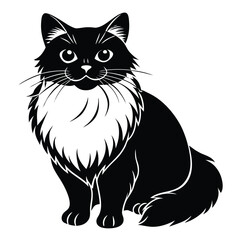 birman vecror cat