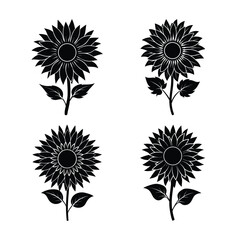 Fototapeta premium Four Sunflower Illustrations in Black and White for Graphic Design and Decoration