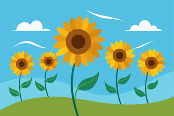 Sunflower Field In Breeze