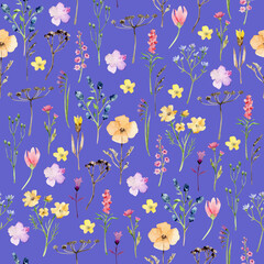 Watercolor seamless pattern with flowers.Wildflowers pattern
