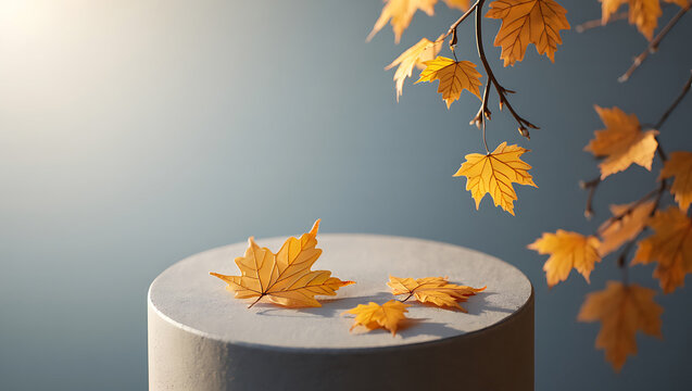 Autumn leaves on a pedestal with branch backdrop creating a soft and elegant scene for seasonal displays and fall promotions