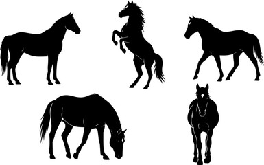 Fototapeta premium horse silhouette from different angles, vector