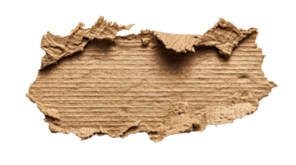 Torn cardboard fragment with corrugated texture