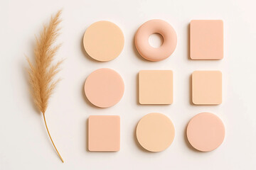 Fototapeta premium Nine makeup sponges and a dried grass plume arranged on a white background
