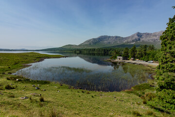 &Eacute;tendue &agrave; l'irlandaise
