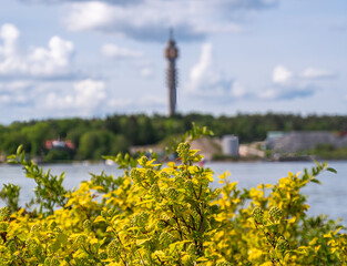 Scenic Tower View with Yellow Flowers