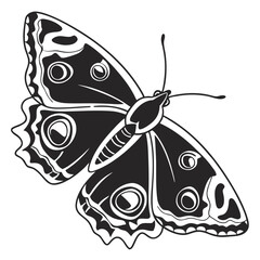 Black and white butterfly illustration with prominent eye markings