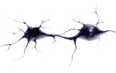 Brain Technology Synapses on transparent background, png