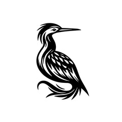 Elegant black and white bird with crest isolated on white background