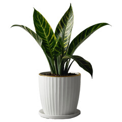 Happy Christmas, Christmas background, winter pattern