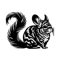Illustration of a cute chinchilla with fluffy fur isolated on white background