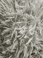 snow covered branches