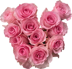 bouquet of pink roses isolated png