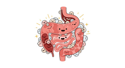 Happy intestines and friendly gut bacteria promoting digestive health