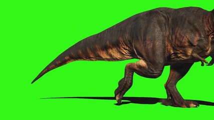 tyrannosaurus rex dinosaur 3d, tyrannosaurus rex dinosaur walking green screen, T-rex dinosaur is roaring proudly on a green screen suitable for chroma key	