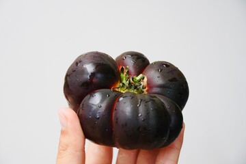 Hand holding fresh black tomato on white background.