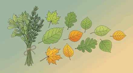Botanical illustration featuring diverse autumn leaves and herbal bouquet on gradient background