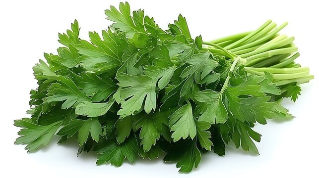 High-resolution DSLR still-life with 50mm lens, fresh parsley sprigs arranged to form a perfect square frame on clean white background, sharp front sprigs with soft depth fade, natural daylight