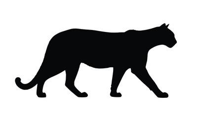 Obraz premium Elegant black panther silhouette walking gracefully, perfect for wildlife art, logo, and design projects