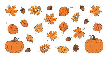 Autumnal Assortment Hand Drawn Pumpkins And Fall Leaves Set Design