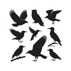 Obraz premium Collection of silhouetted birds in various poses and flight styles
