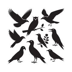 Obraz premium Collection of silhouetted birds in various poses against a white background Vector Art