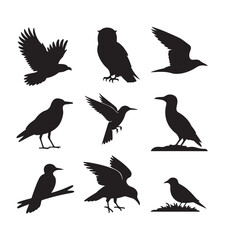 Obraz premium Collection of silhouetted birds in various poses against a white background