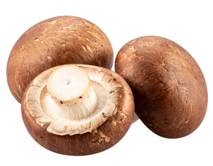 Fresh Shiitake Mushroom, Whole, Isolated on Transparent Background.