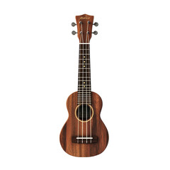 Fototapeta premium image of a rosewood brown ukulele, beautifully crafted ukulele in rosewood brown, isolated on transparent background