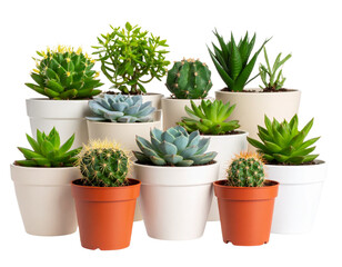 Fototapeta premium Modern Set of Ceramic Plant Pots with Succulent Plants, Isolated on Transparent Background