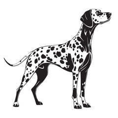  black dalmatian Silhouette Vector, High Quality Illustration on White Background