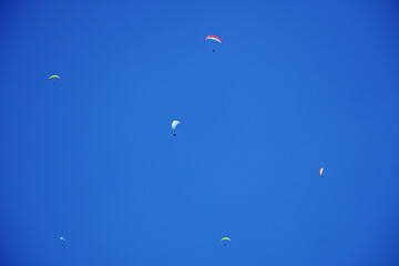 paragliding flight parachute wing five bright multi-colored in the blue sky