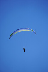 Flight blue paraglider in the blue sky parachute-wing