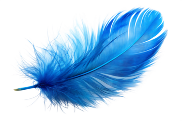 blue feather isolated on white background, png, ai generated.