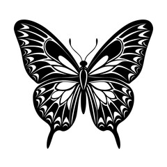 A delicate blue butterfly with open wings is a beautiful vector illustration