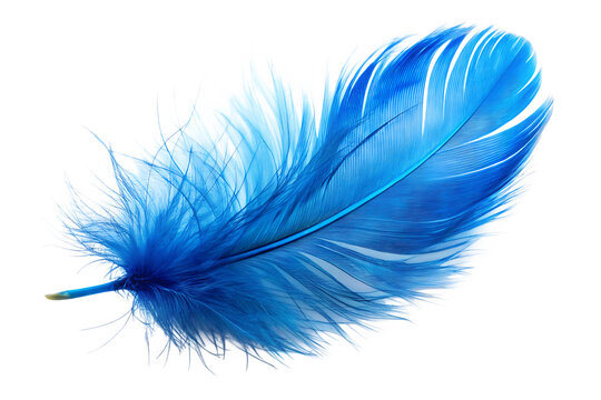 blue feather isolated on white background, png, ai generated.
