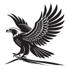 Obraz premium black eagle Silhouette Vector, High Quality Illustration on White Background