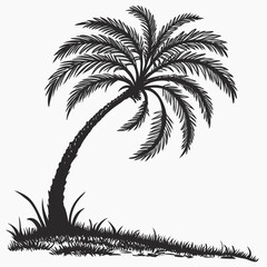 Obraz premium silhouette of palm trees