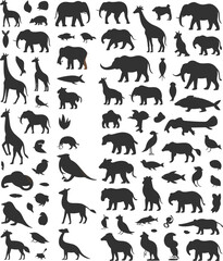 Wild animal silhouettes collection, giraffe, elephant, bear, bird, fish, reptile, nature wildlife vector icons, animal shapes, black silhouette design
