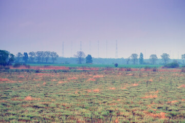 electric pylons on the field