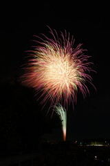 花火 日本の夏 さいたま市