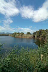 A landscape photo showing a tranquil lake and dense vegetation, with a subtle cityscape and mountain range visible on the horizon. The scene evokes a feeling of peace despite proximity to the city.