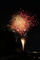 花火 日本の夏 さいたま市