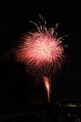 花火 日本の夏 さいたま市