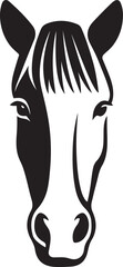 Horse face front view black and white, Equine portrait head on vector
