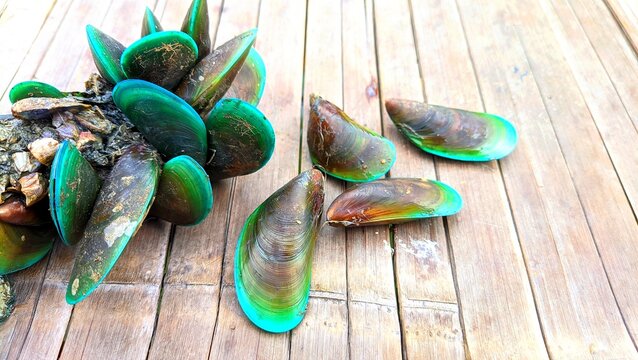 Close-up of fresh green mussels with vibrant shells, detailed texture for seafood concept