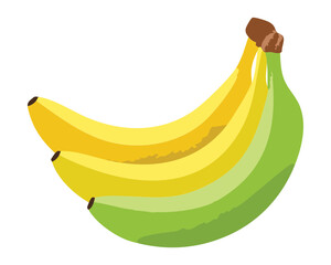  A Bunch of Fresh Green and Yellow Bananas on the Stalk - Vector Illustration