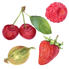 Watercolor set of berries: strawberries, cherries, raspberries and gooseberries. The illustration is drawn by hand, isolated on a white background. Suitable for design, printing, labeling.