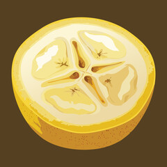 A Cross Section of a Banana on a Dark Brown Background - Vector Illustration