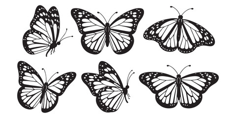 Obraz premium Collection of Six Detailed Butterfly Silhouettes insect flying